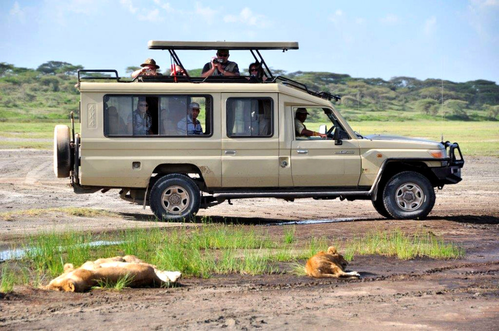 Extended Landcruiser