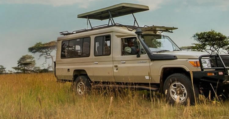 Extended Landcruiser