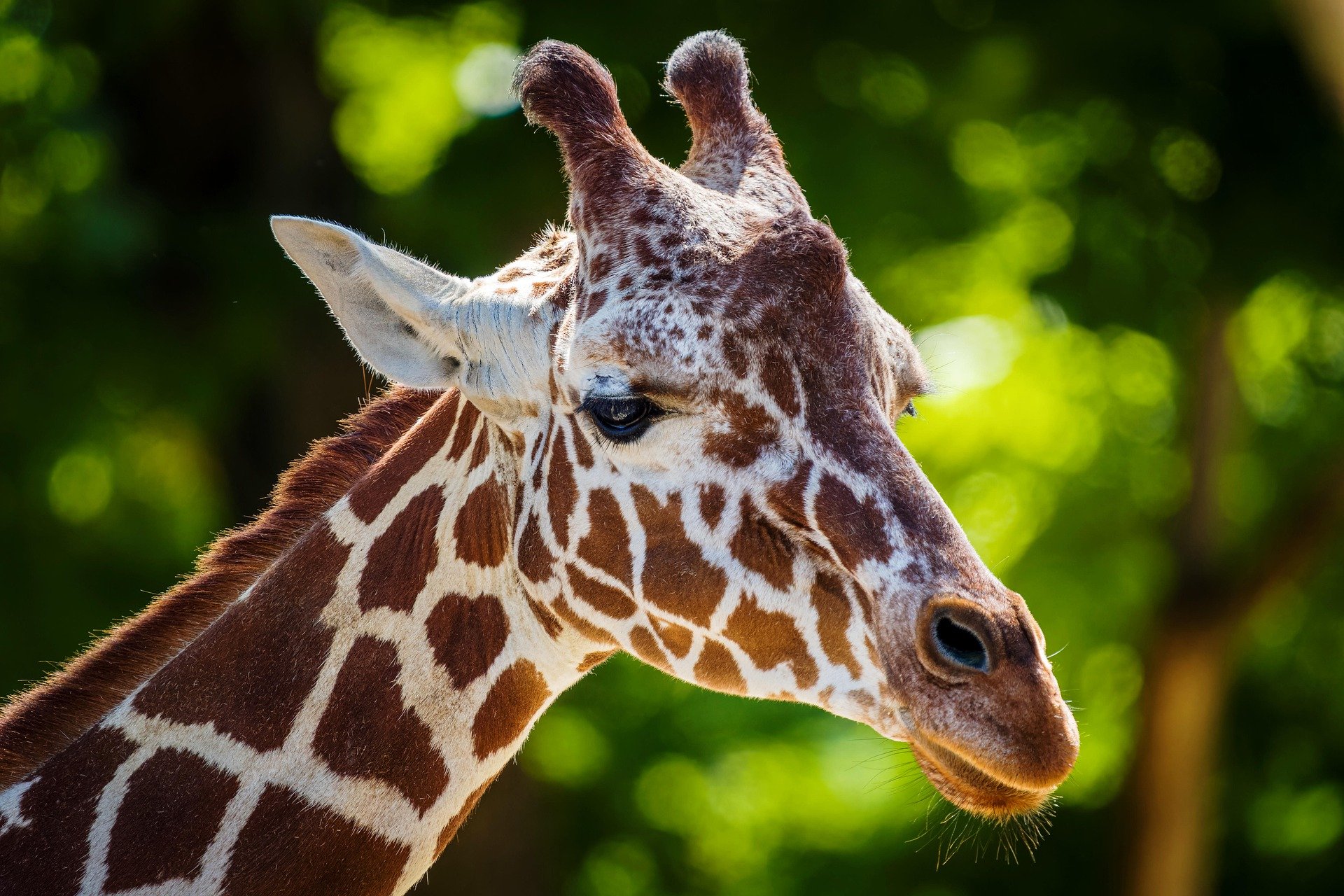 Kidepo National Park