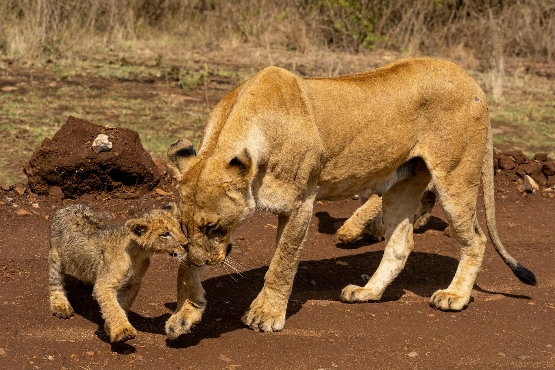 Kenya