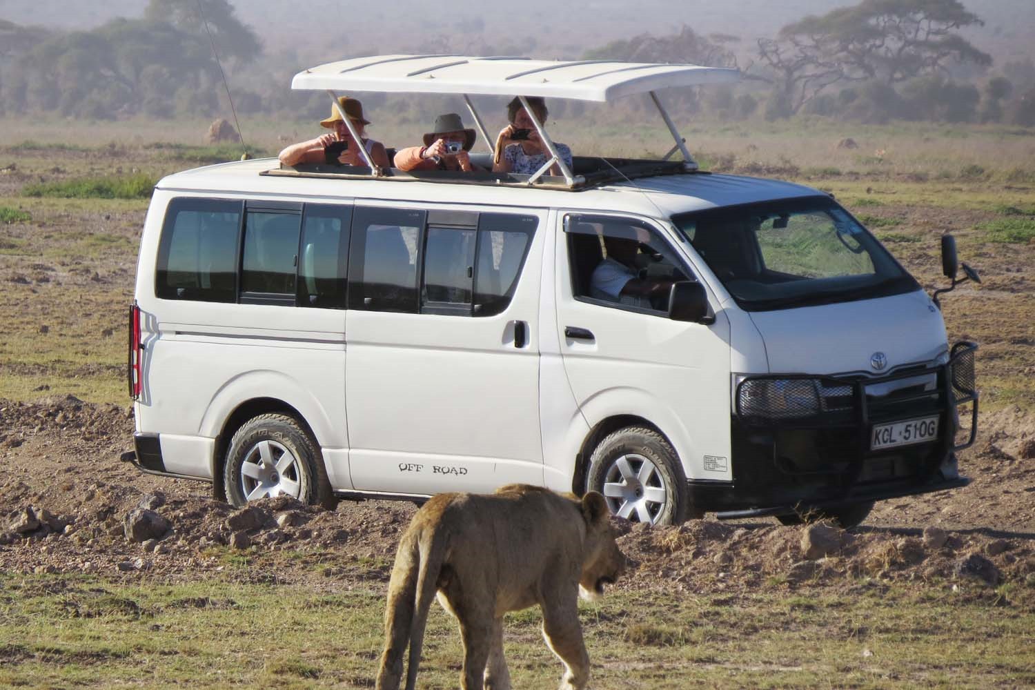 Safari Van