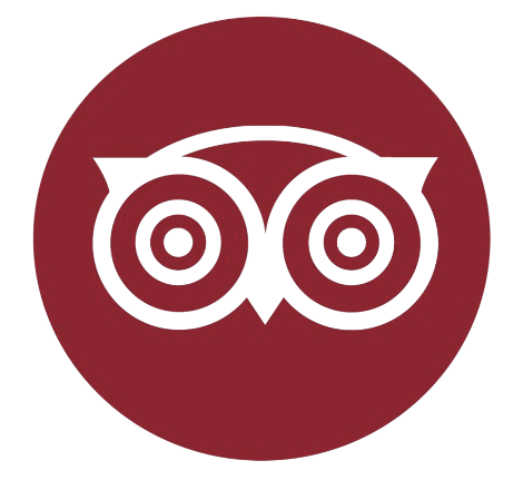 Trip Advisor icon