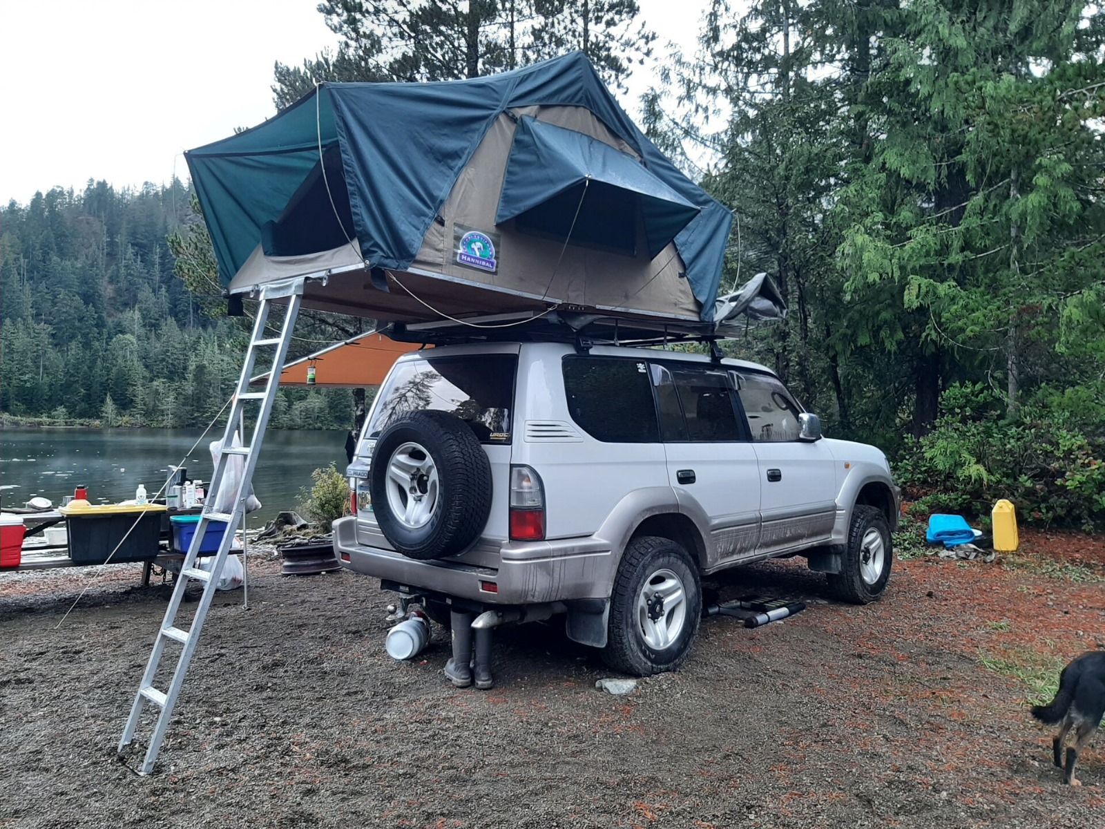 Landcruiser TX