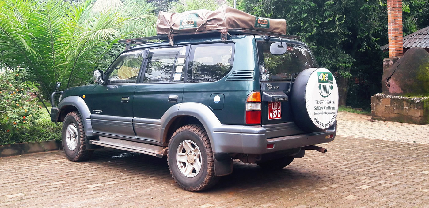Landcruiser V8/VX
