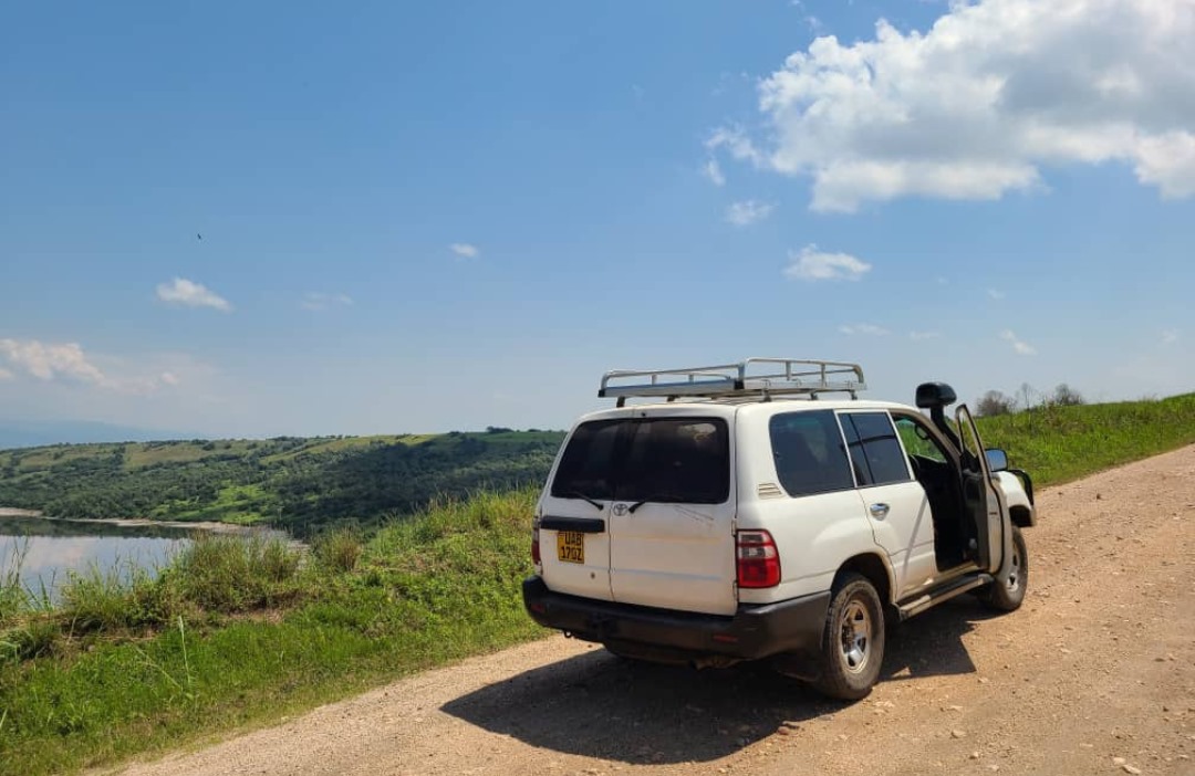Landcruiser V8/VX